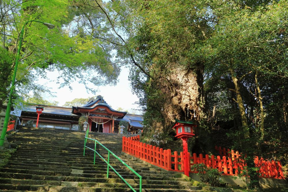 新田神社の画像 - 2枚目