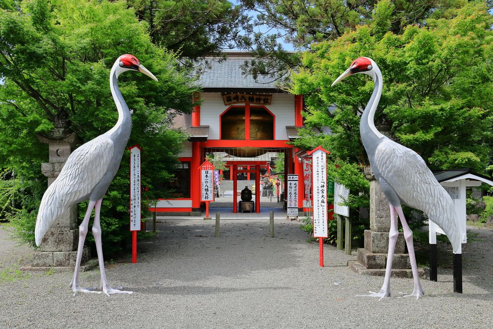 箱崎八幡神社の画像 - 7枚目