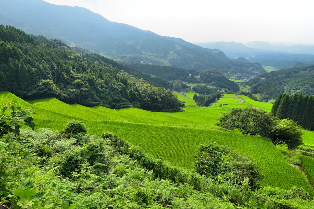 蕨野の棚田の画像 - 2枚目