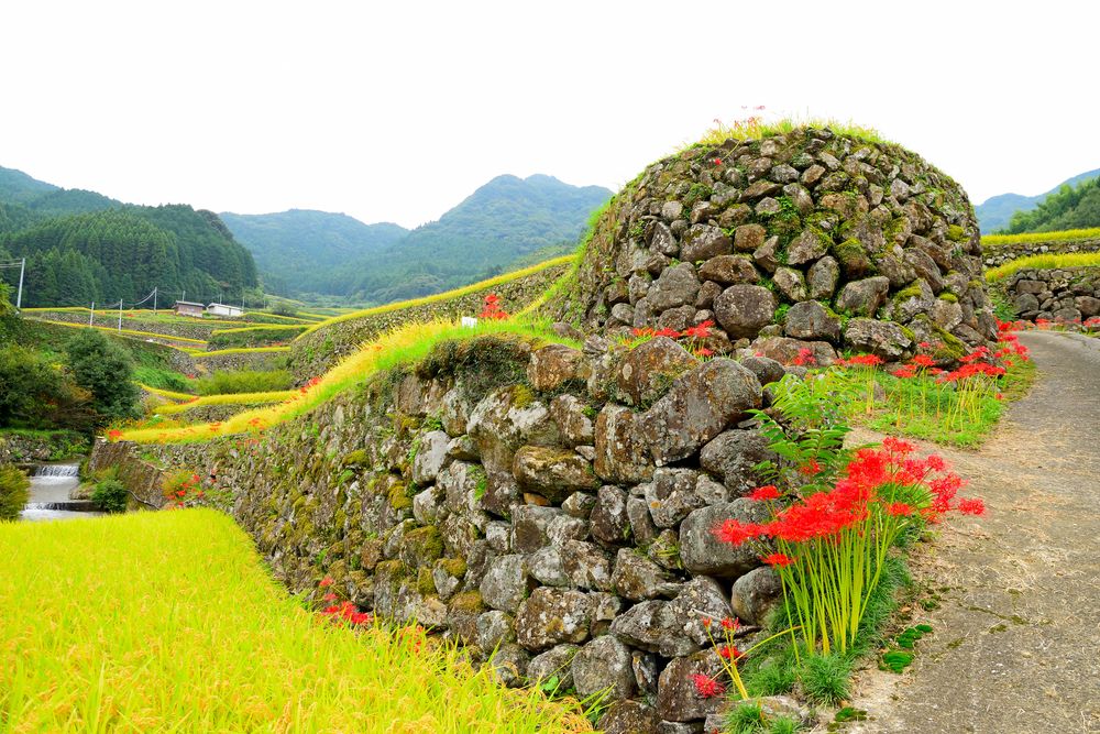 蕨野の棚田の画像 - 3枚目