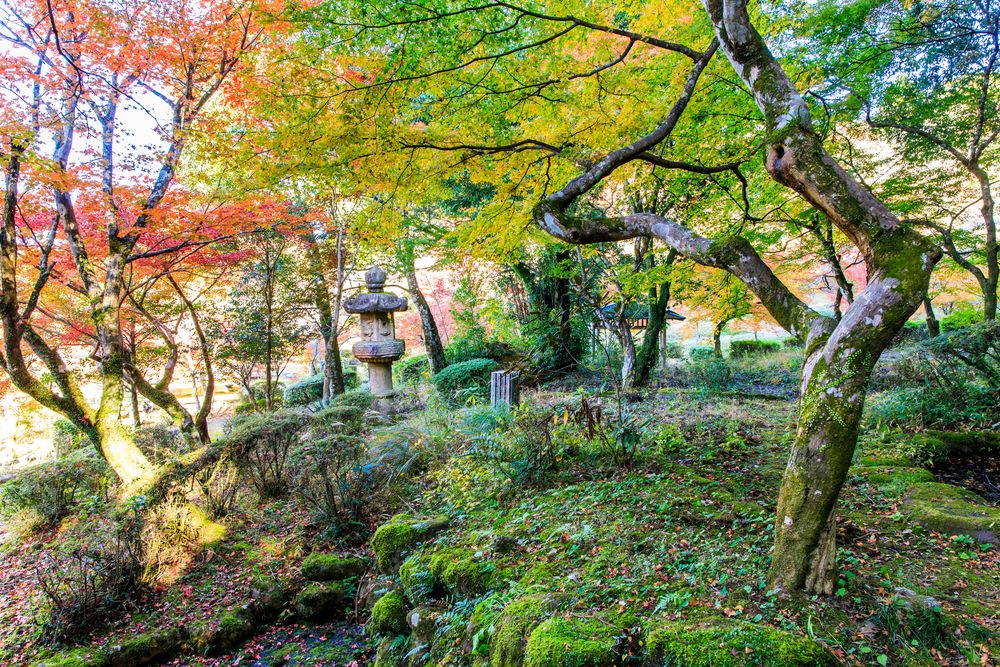 西渓公園の画像 - 2枚目