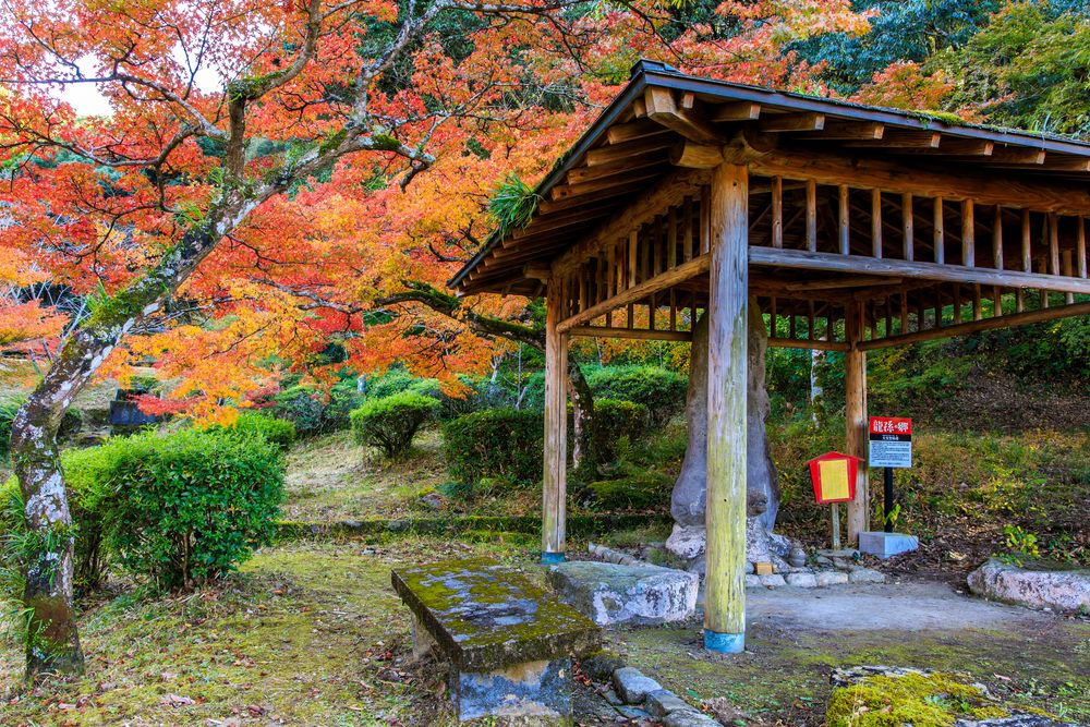 西渓公園の画像 - 3枚目