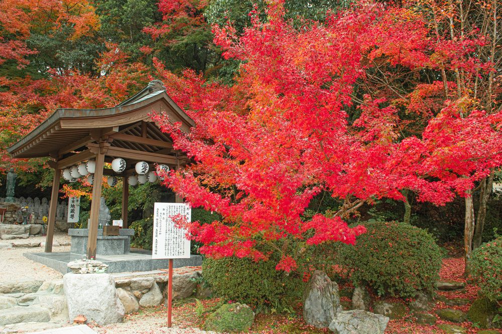 仁比山神社の画像 - 5枚目