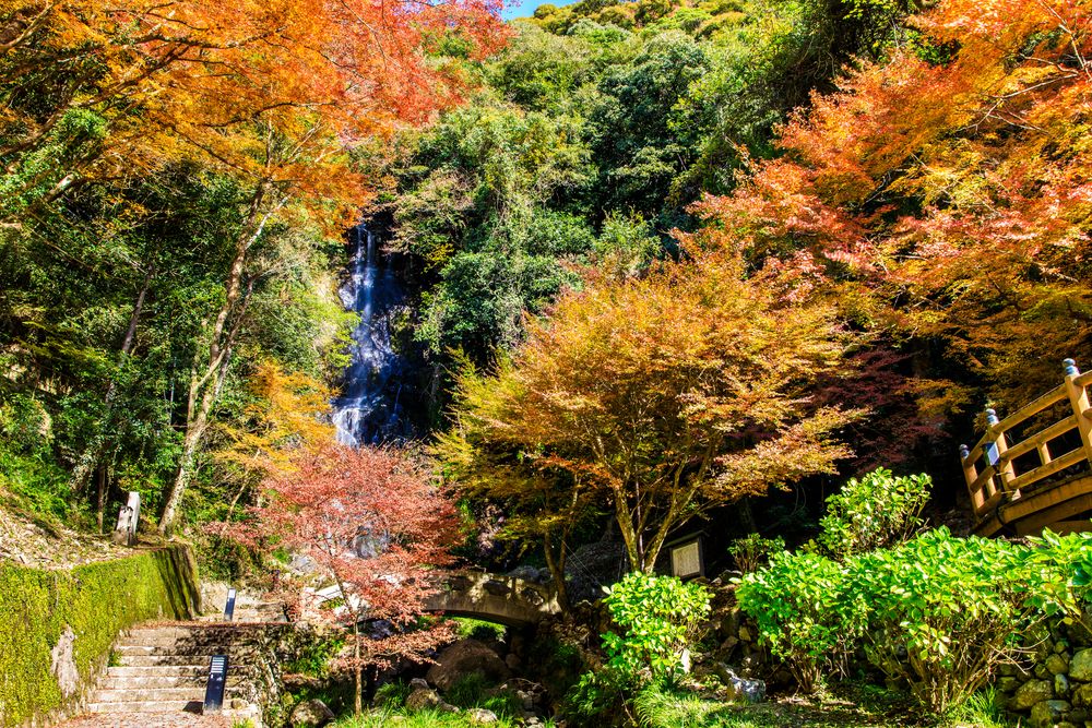 清水の滝の画像 - 4枚目