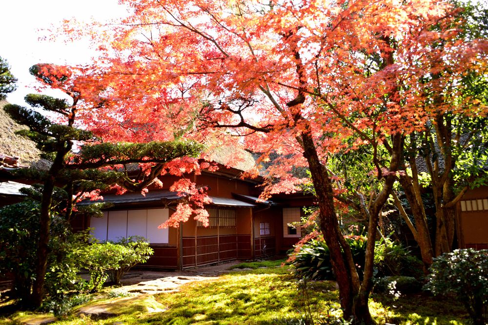 九年庵の画像 - 2枚目