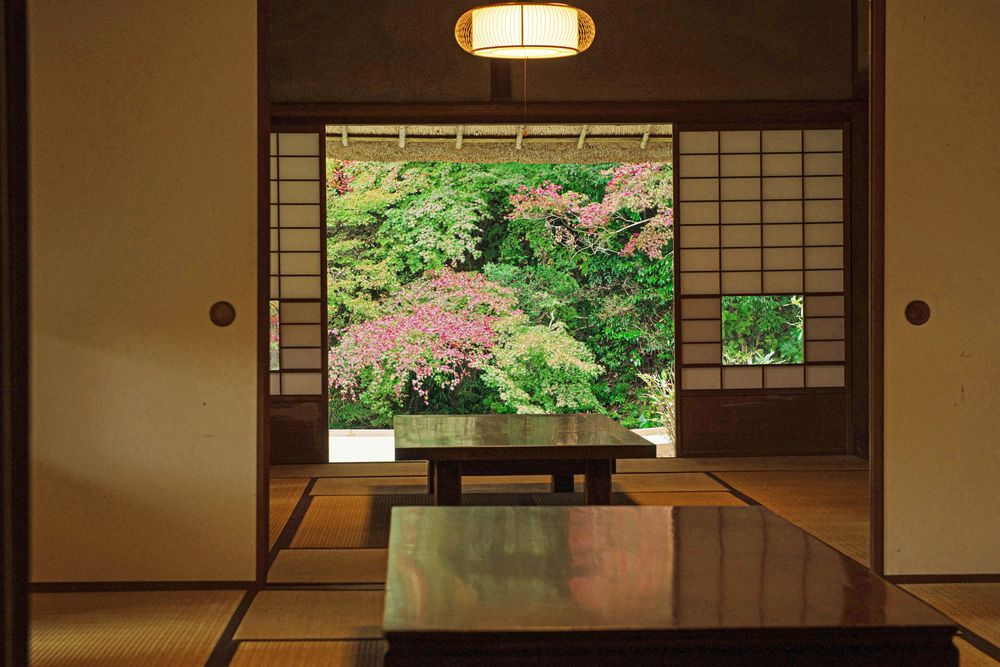 九年庵の画像 - 4枚目