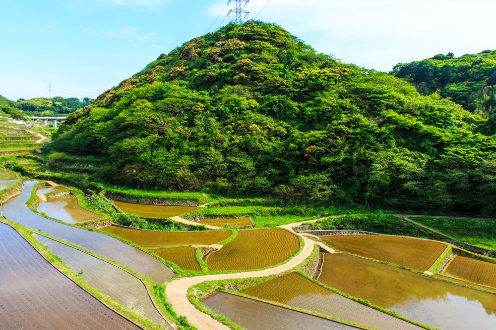 浜野浦の棚田 展望台の画像 - 2枚目