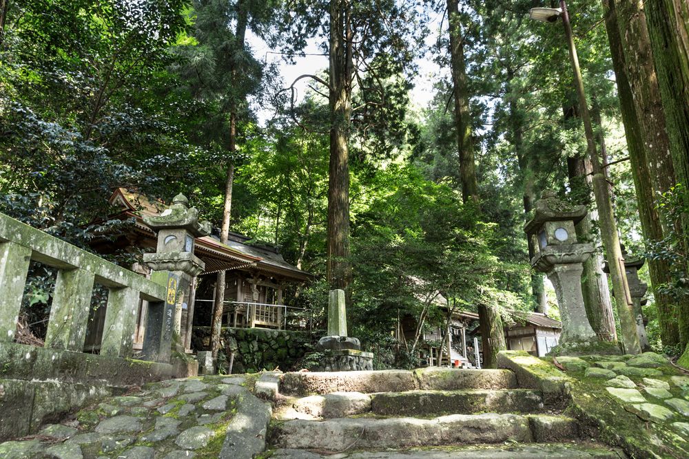 小国両神社の画像 - 3枚目