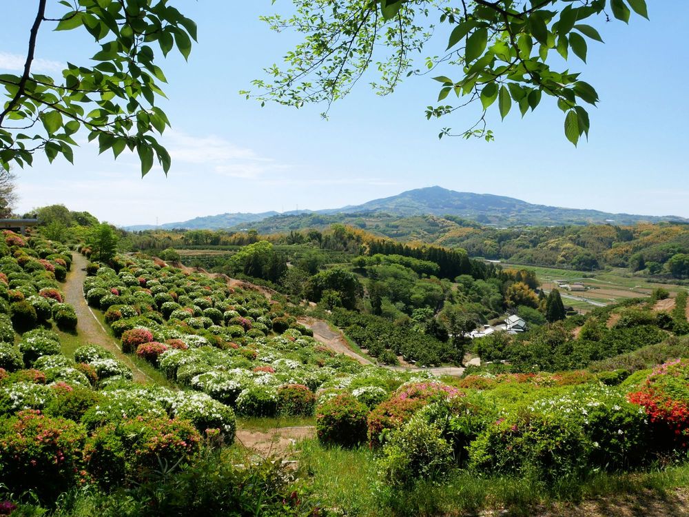 田原坂公園の画像 - 3枚目