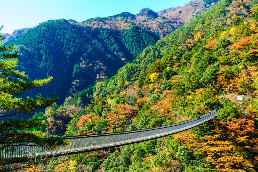 五家荘平家の里の画像 - 2枚目