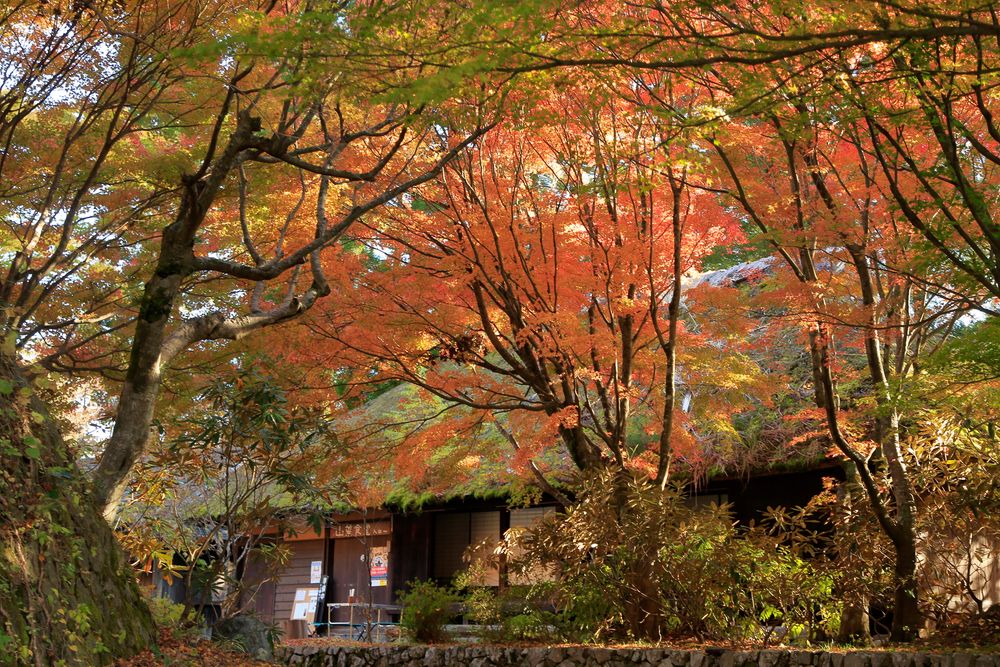 五家荘平家の里の画像 - 4枚目