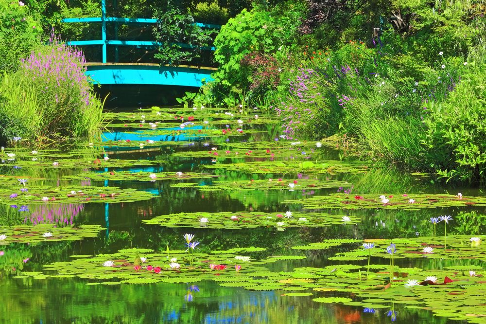 モネの庭