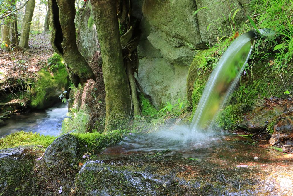 山吹水源の画像 - 2枚目