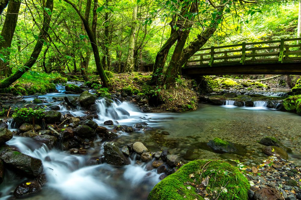 山吹水源の画像 - 3枚目