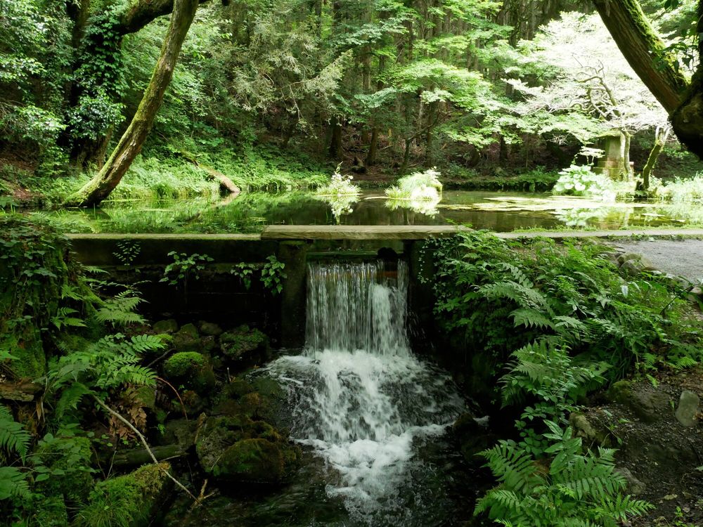 山吹水源の画像 - 4枚目