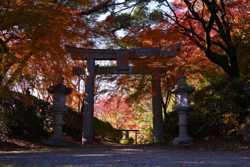 菊池神社の画像 - 2枚目