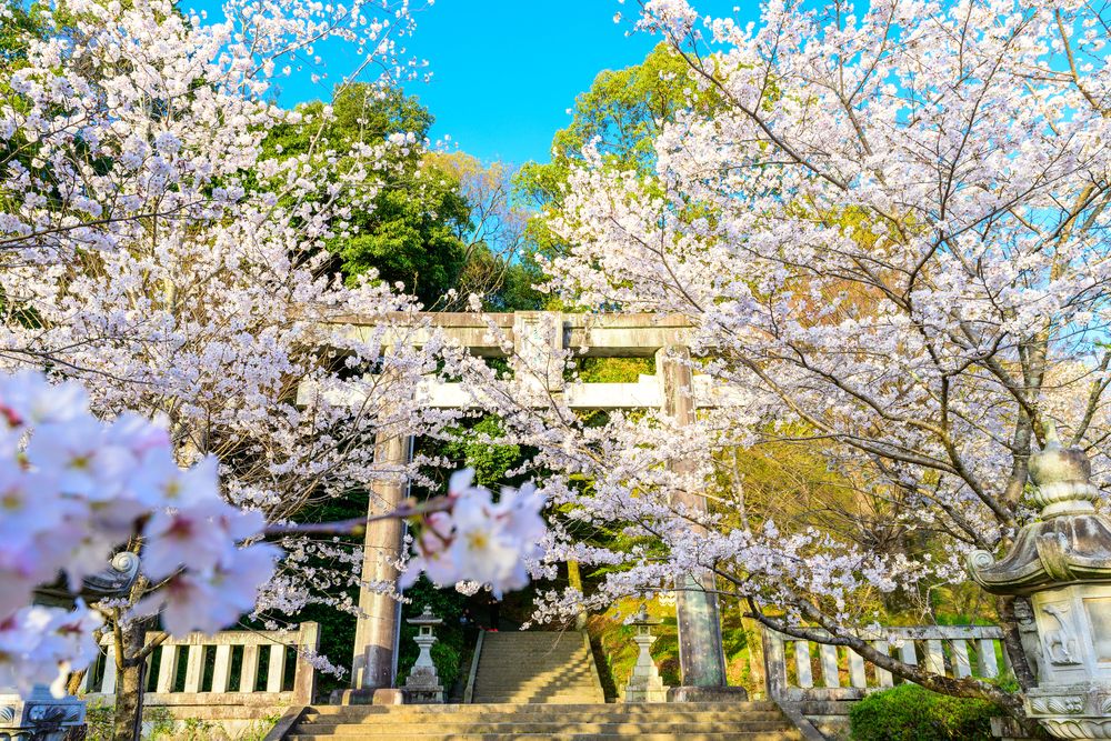 菊池神社の画像 - 5枚目