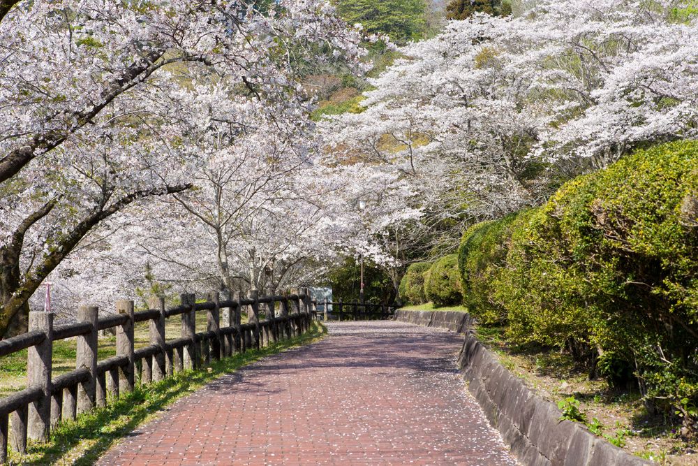 母智丘神社の画像 - 3枚目