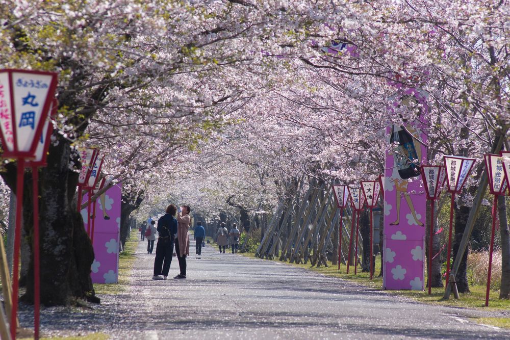 母智丘神社の画像 - 4枚目