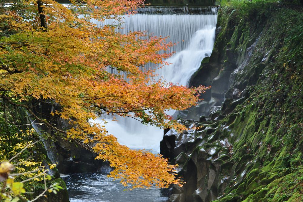 長田峡の画像 - 4枚目