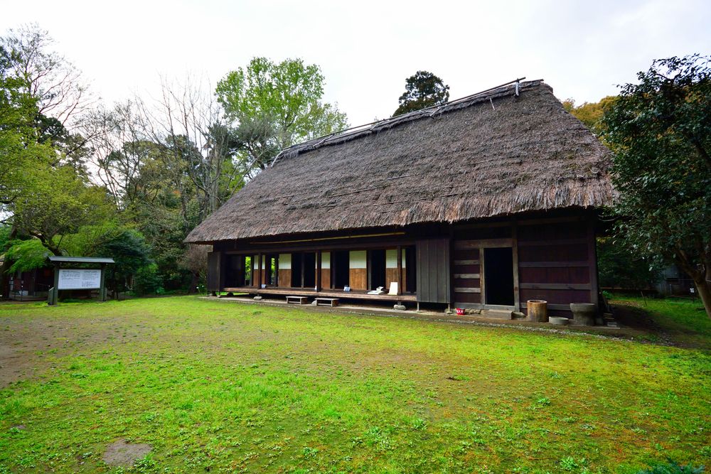 宮崎県総合博物館の画像 - 3枚目