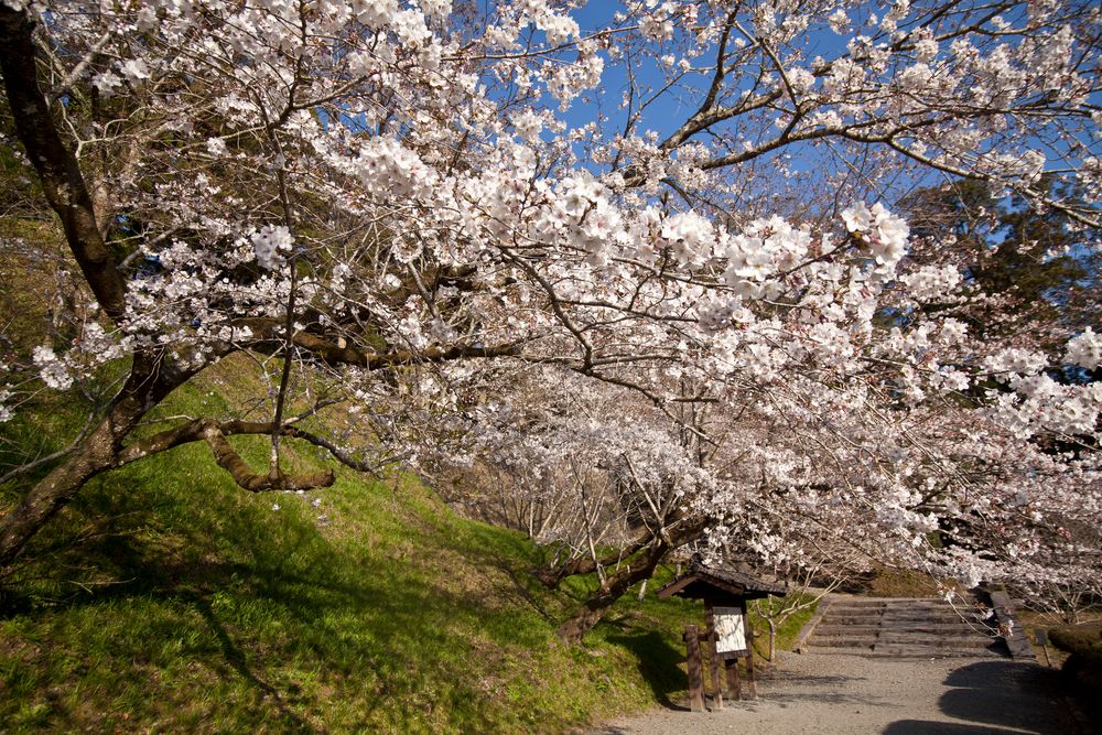 飫肥城跡の画像 - 4枚目