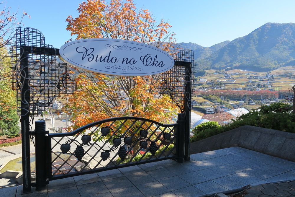 甲州市勝沼 ぶどうの丘の画像 - 2枚目