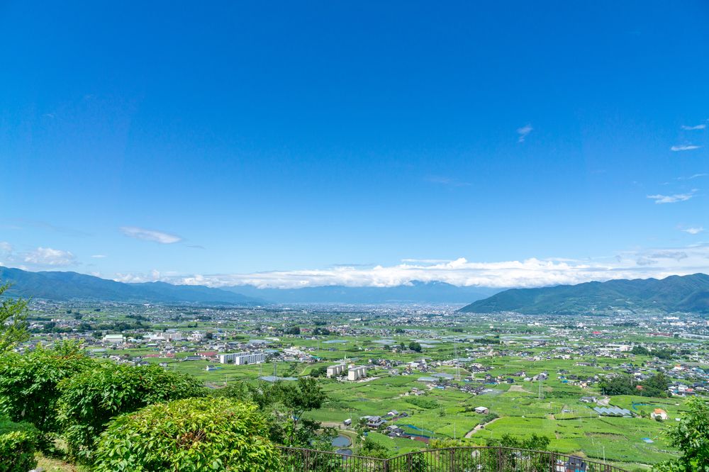 甲州市勝沼 ぶどうの丘の画像 - 6枚目