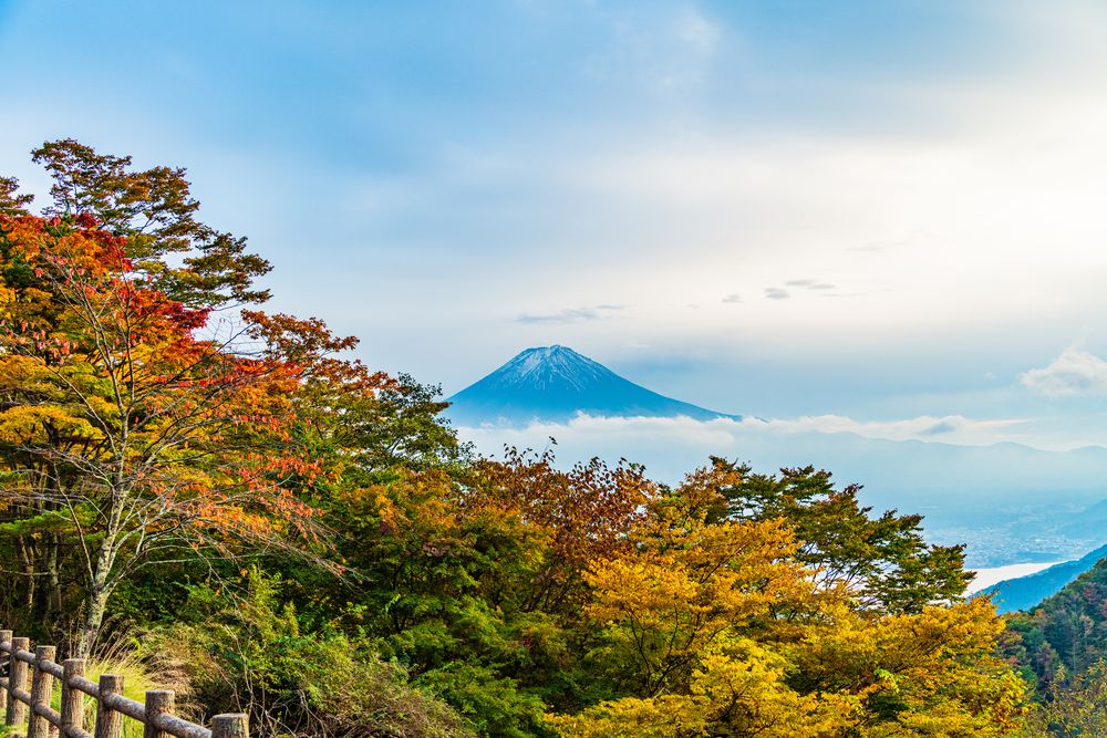 天下茶屋の画像 - 5枚目