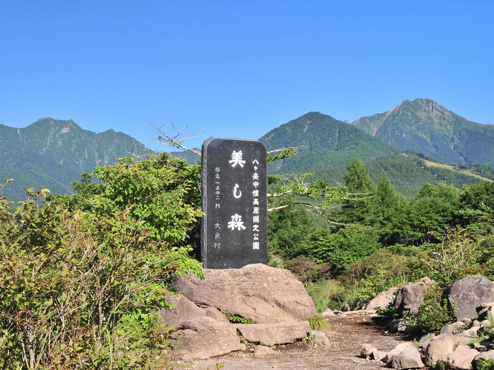 美し森 展望台の画像 - 3枚目