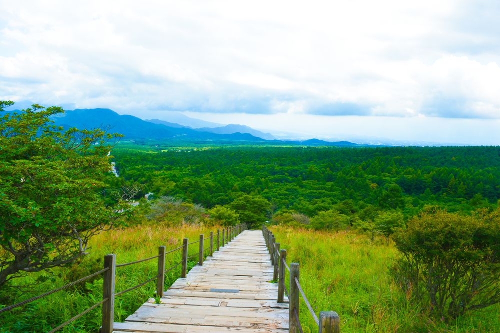 美し森 展望台】の周辺スポット・アクセス・口コミ - Prism Japan