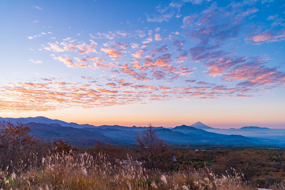 美し森 展望台】の周辺スポット・アクセス・口コミ - Prism Japan