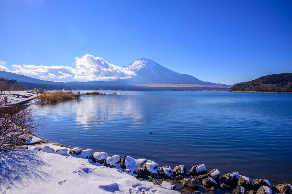 山中湖交流プラザ きららの画像 - 4枚目