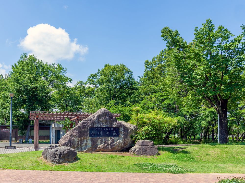 山梨県森林公園金川の森の画像 - 5枚目