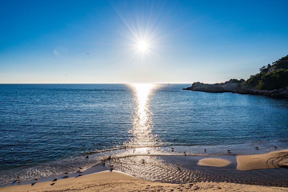 笹川海水浴場の画像 - 3枚目