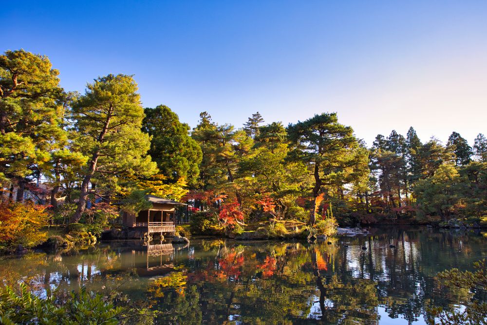 清水園の画像 - 2枚目