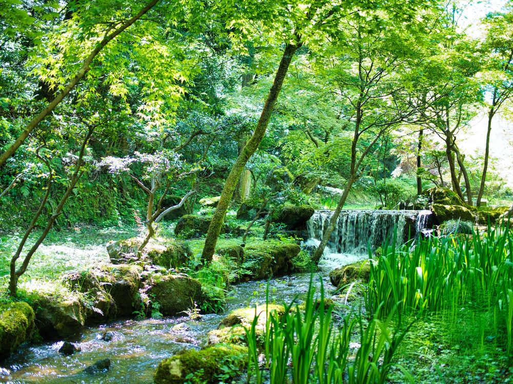 赤坂山公園の画像 - 2枚目
