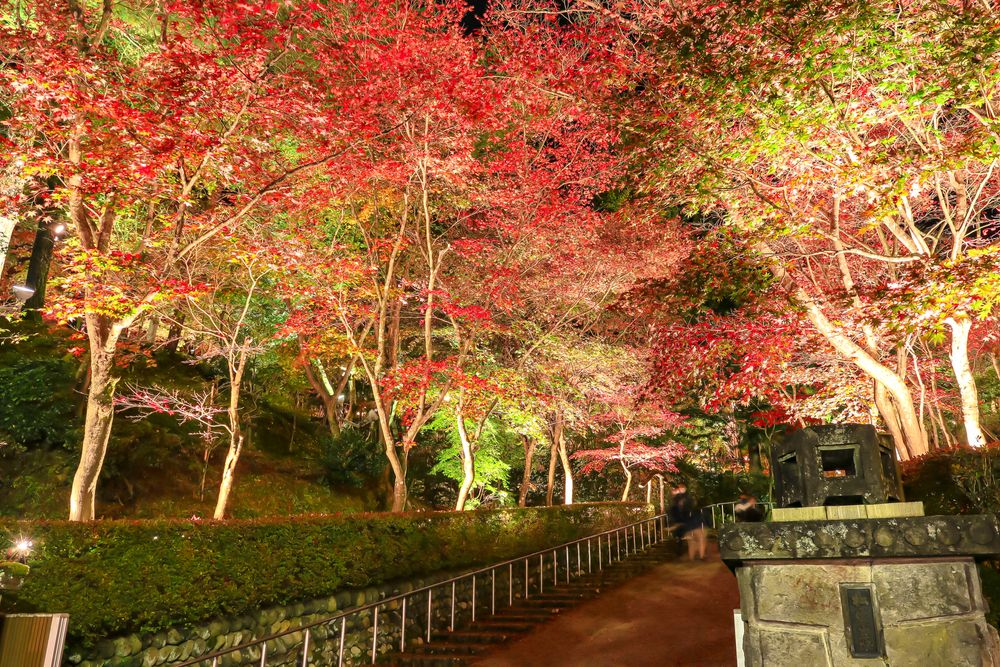 赤坂山公園の画像 - 3枚目