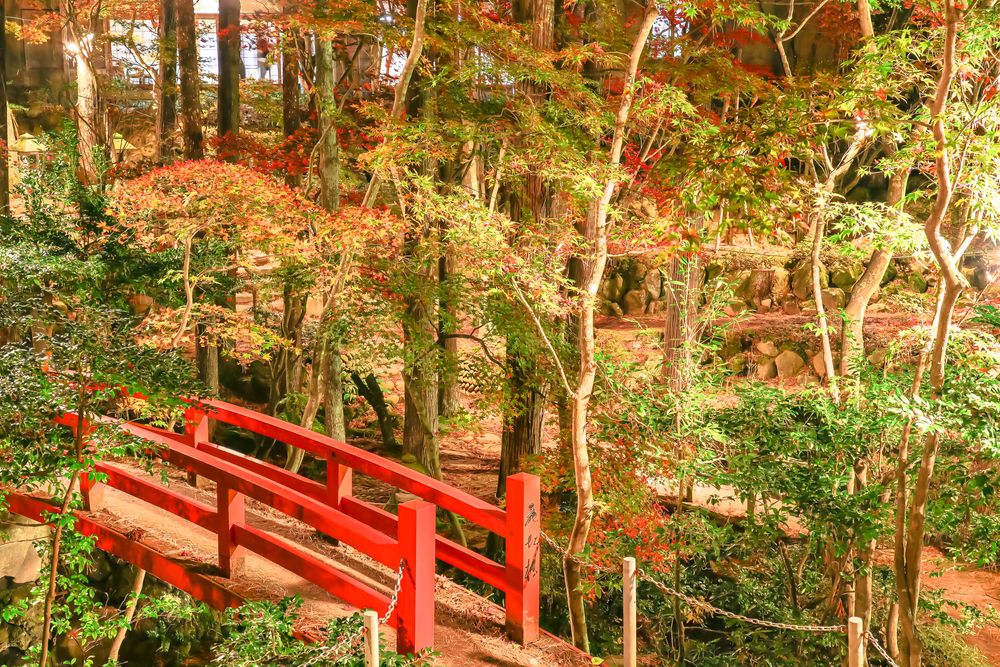 赤坂山公園の画像 - 4枚目