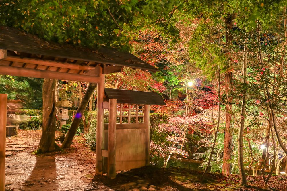 赤坂山公園の画像 - 5枚目