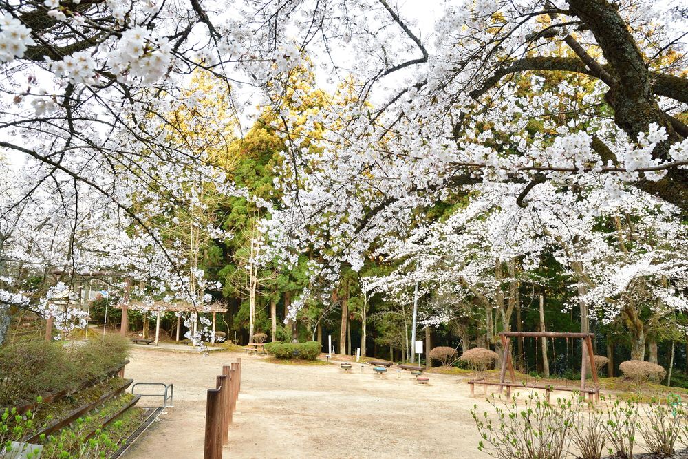 加茂山公園の画像 - 2枚目