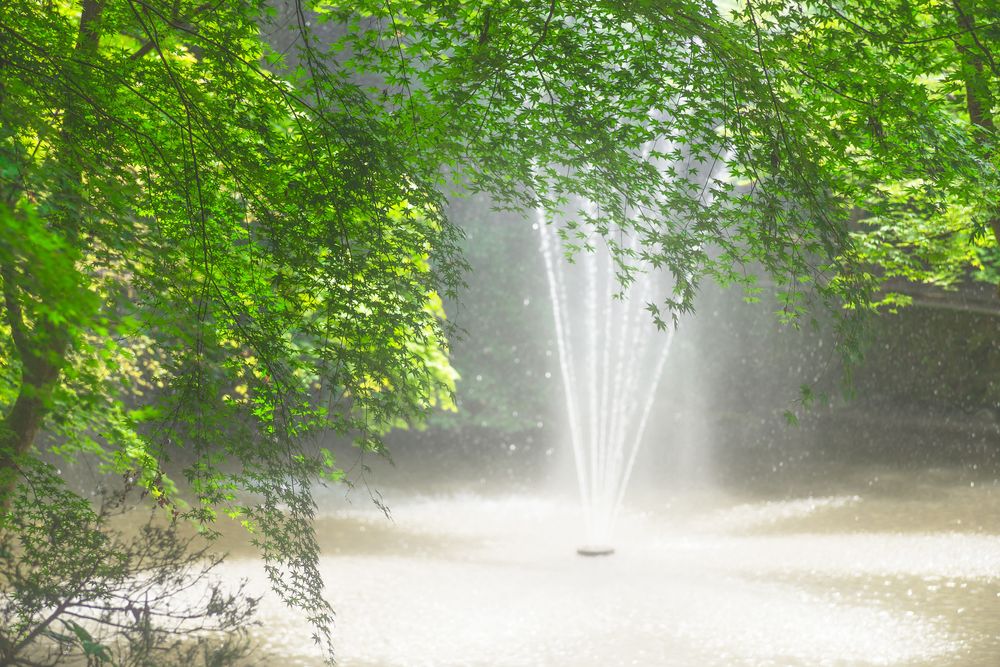 加茂山公園の画像 - 3枚目