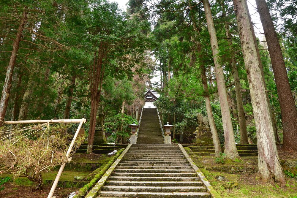 加茂山公園の画像 - 5枚目