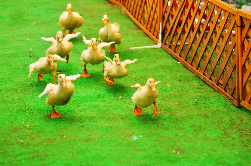 ノースサファリサッポロの画像 - 3枚目