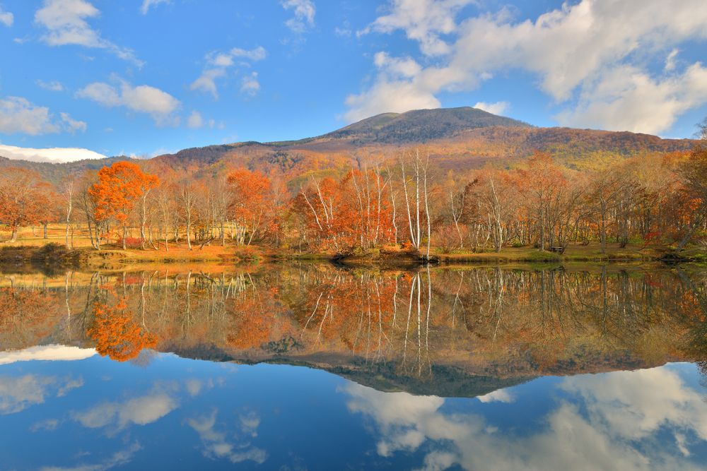笹ヶ峰牧場の画像 - 3枚目