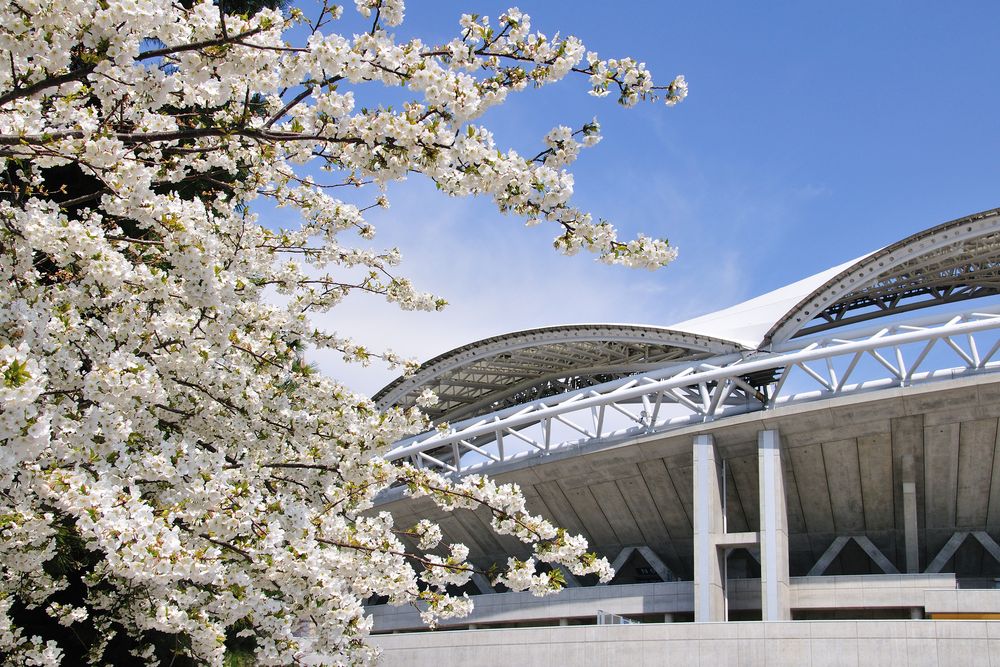 新潟県スポーツ公園の画像 - 2枚目