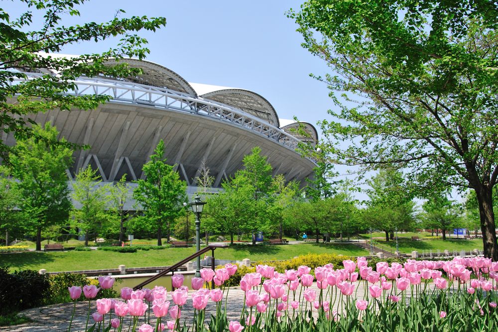 新潟県スポーツ公園の画像 - 3枚目