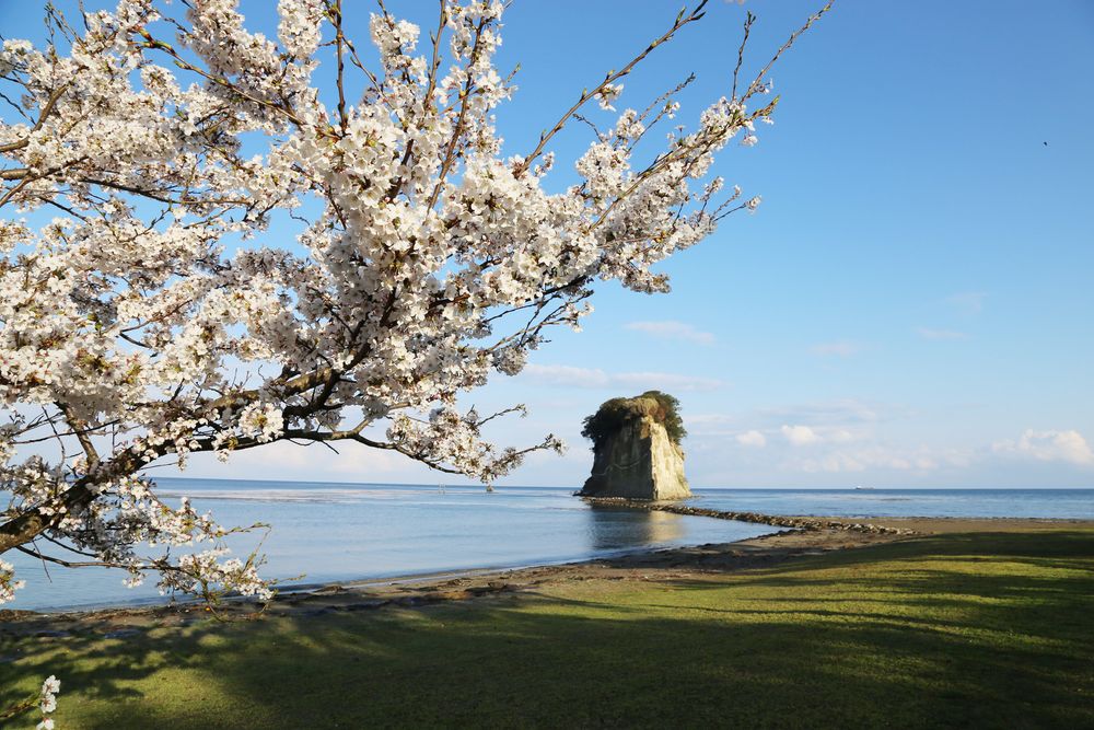 見附島の画像 - 4枚目