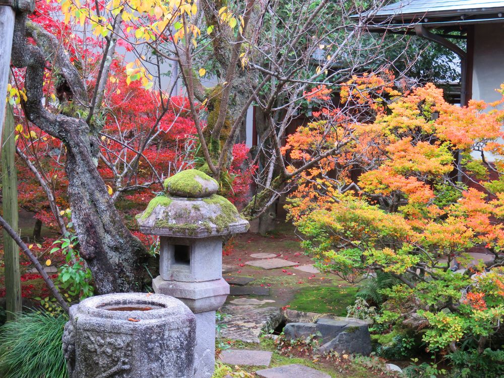 成巽閣の画像 - 4枚目
