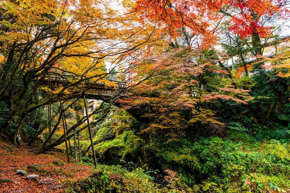 こおろぎ橋の画像 - 2枚目